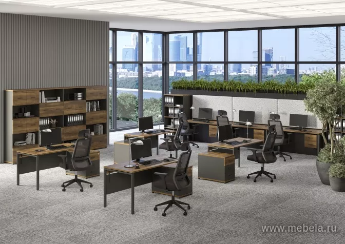 мебель Концепт