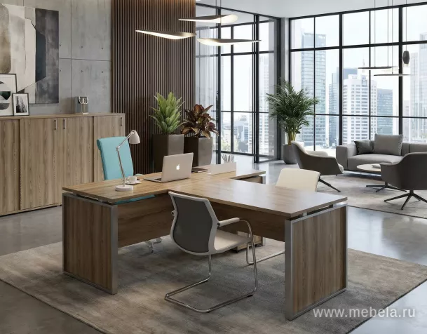 кабинет Аргентум-М