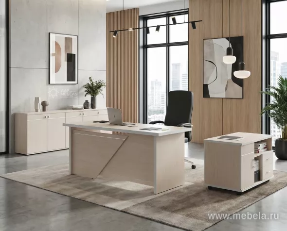 кабинет Зум Дуб