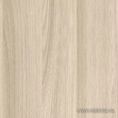 кабинет Стил Эво