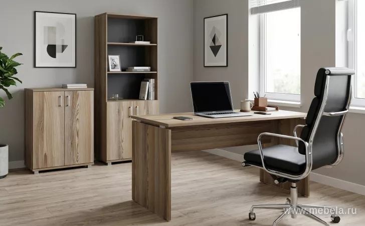 кабинет Аргентум