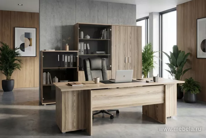 кабинет Аргентум