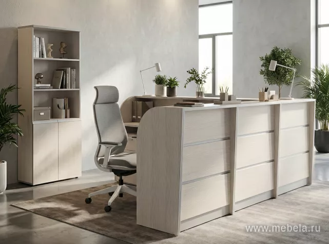 ресепшн Рапид Карелия