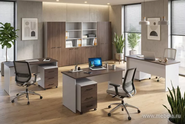 офисная мебель Эво
