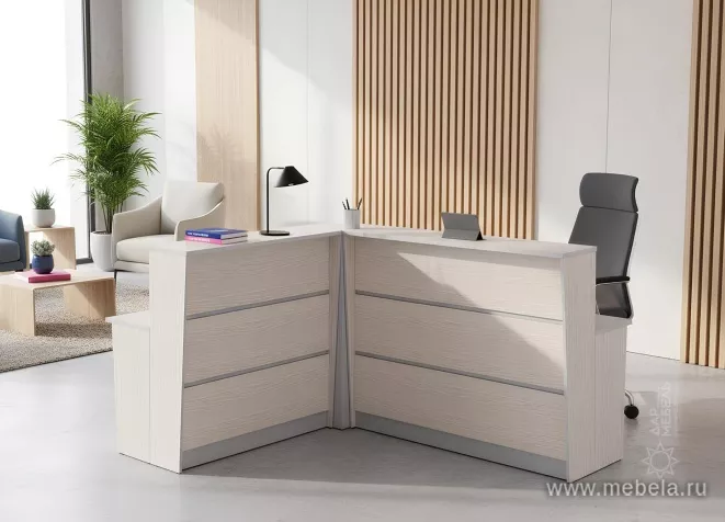 ресепшн Рапид Карелия