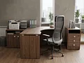 офисная мебель Стайл Вяз