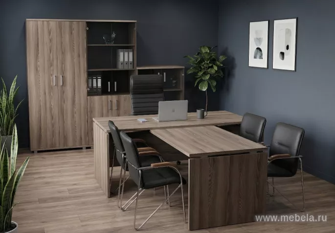 кабинет Аргентум